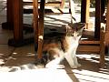 Caramel 08-04 041
